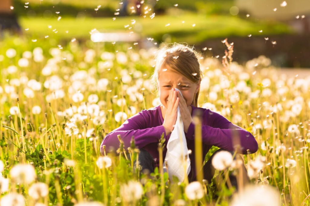 Hay fever